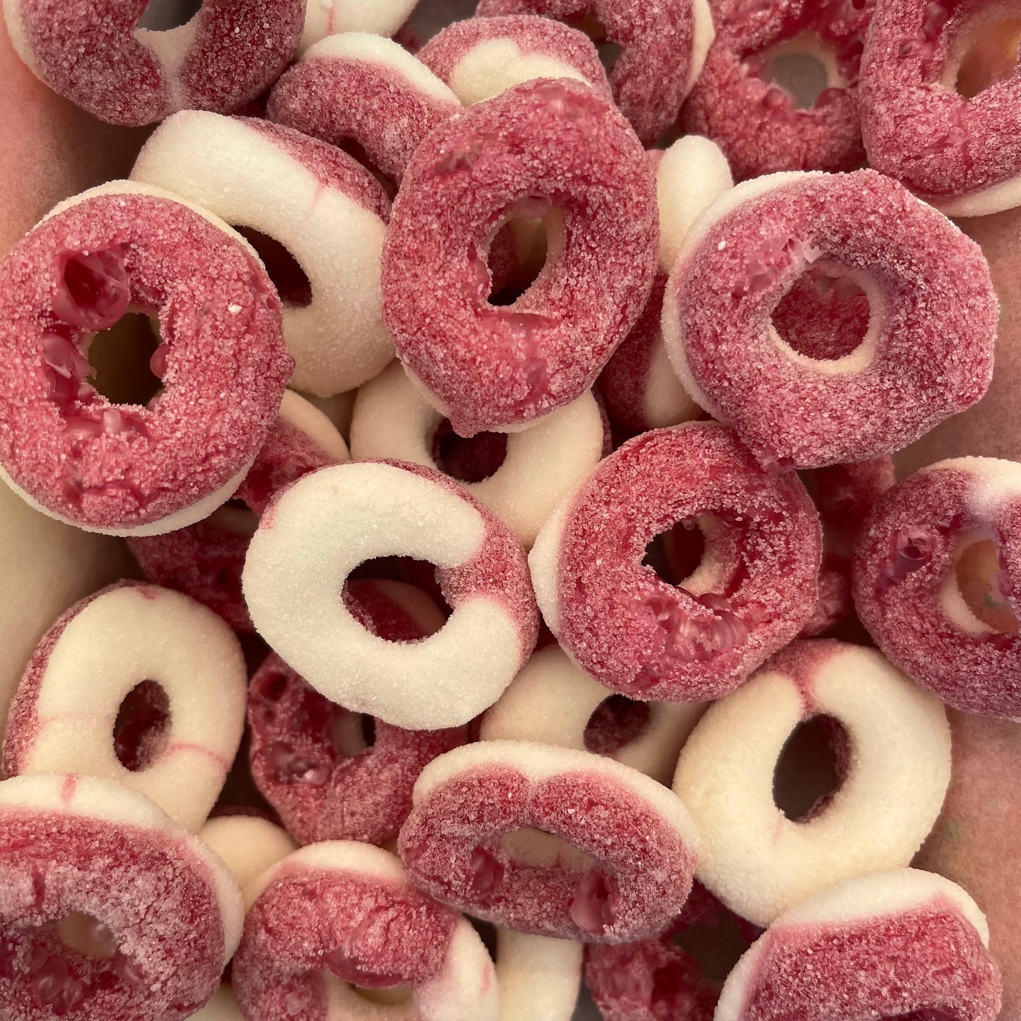 Freeze Dried Watermelon Rings